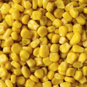 Sweet frozen corn kernels from India with firm texture and natural flavor – G S D Global Exim